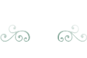 Creekside Equestrian logo