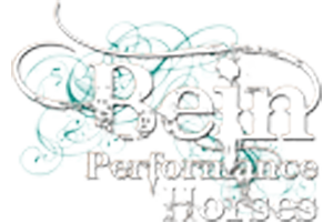 Bein Performance Horses logo