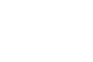 Caliber Equestrian Farm logo
