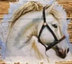 Kulshan Ridge Riding Center logo