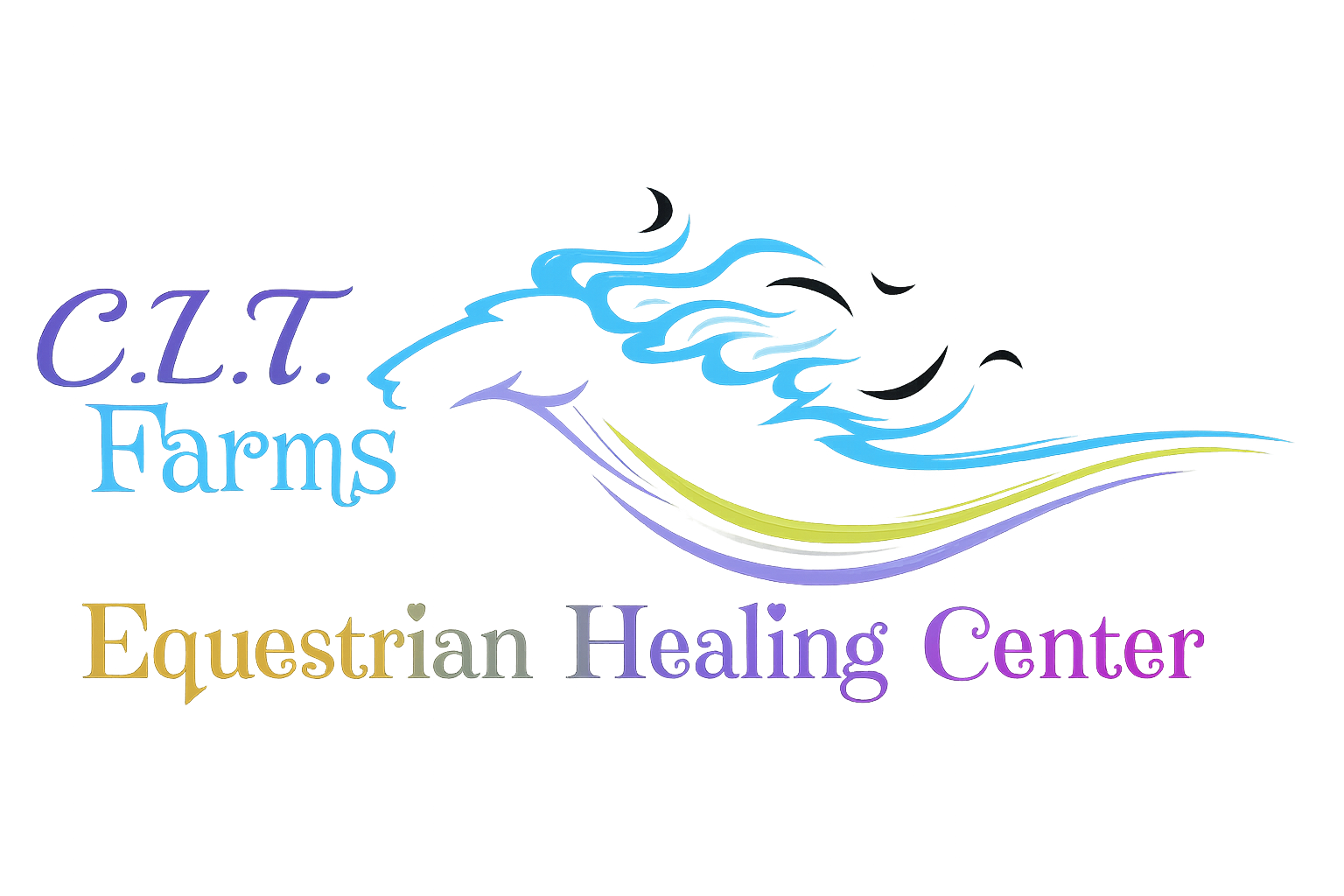 CLT Farms Equestrian Healing Center LLC logo